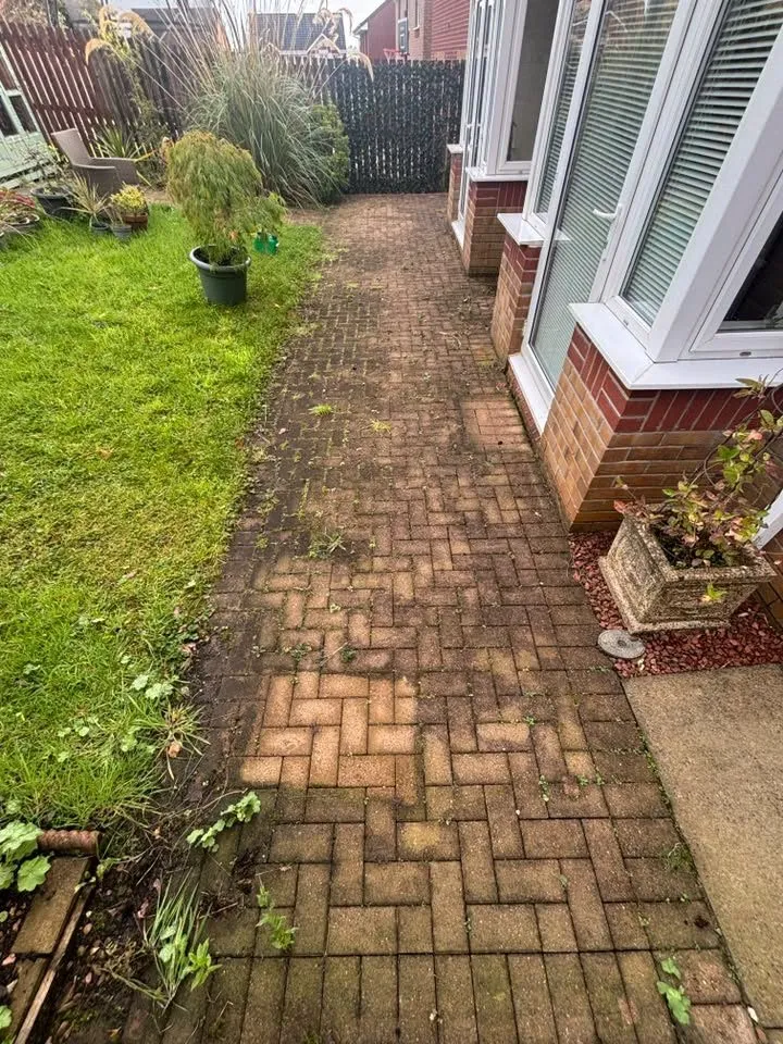 Herringbone monobloc path green with moss and dirt before cleaning