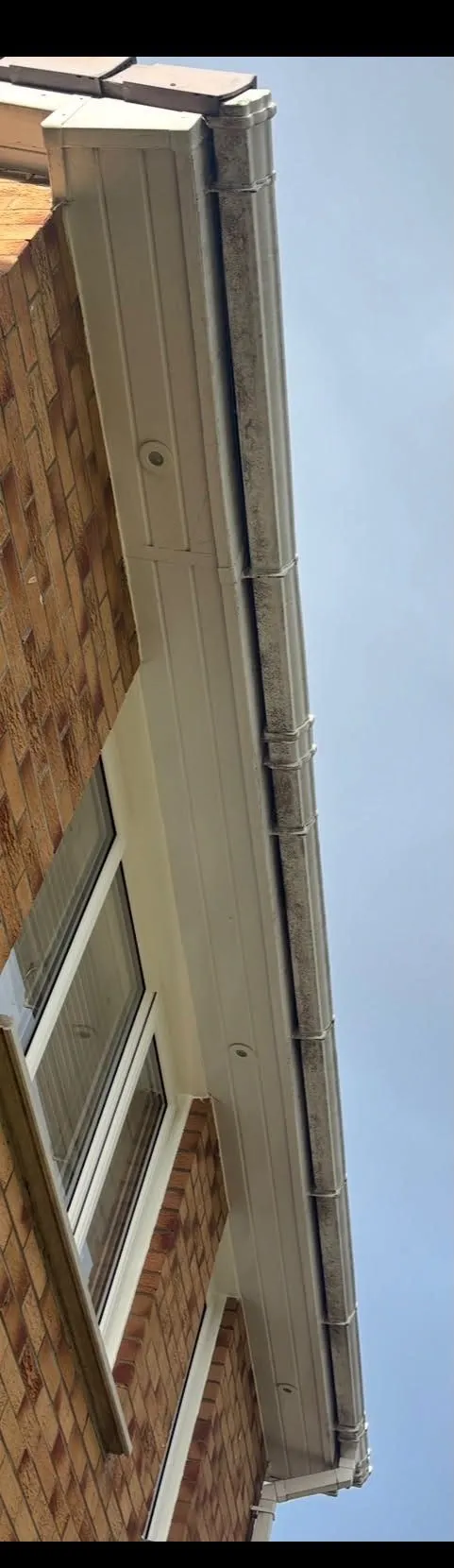 Underside of a uPVC soffit and fascia with green organic staining