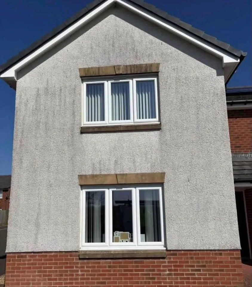 White render gable streaked with grey and green organic staining