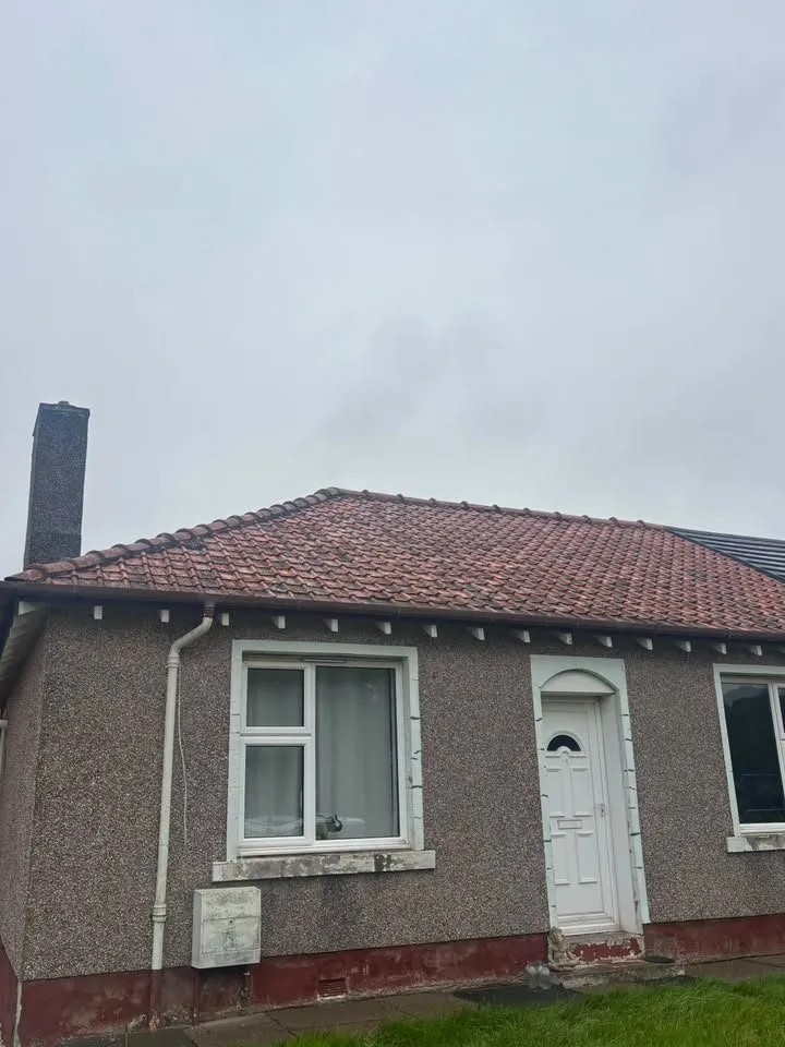 Bungalow roof covered in dark moss and organic growth before cleaning